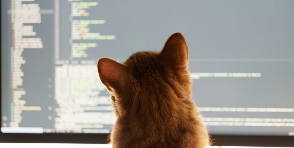 AI và cái bẫy của sự "lười biếng trí tuệ" 1